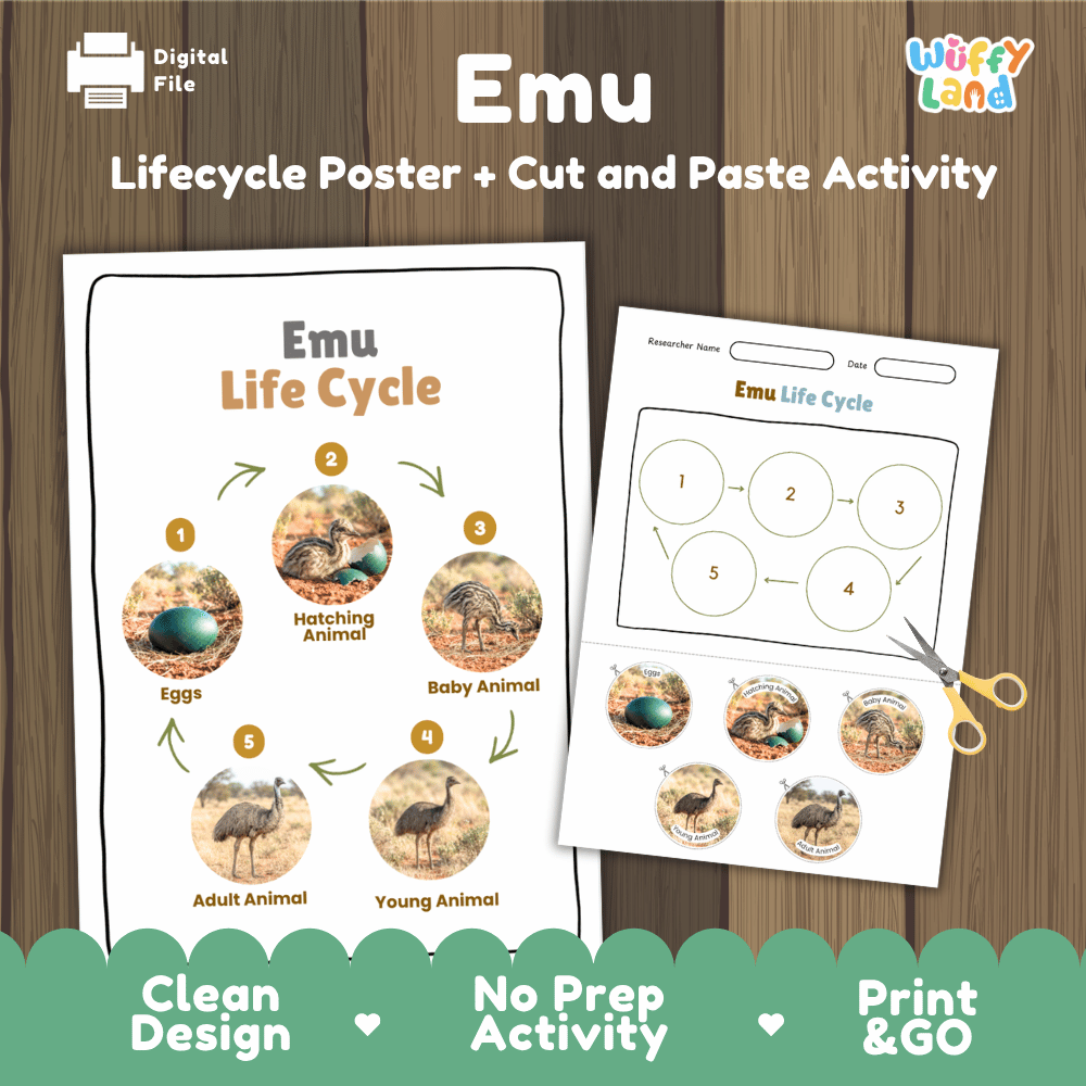 Emu Life Cycle Poster and Cut and Paste Worksheet Activity