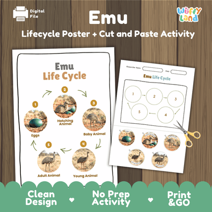 Emu Life Cycle Poster and Cut and Paste Worksheet Activity