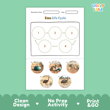 Emu Life Cycle Poster and Cut and Paste Worksheet Activity