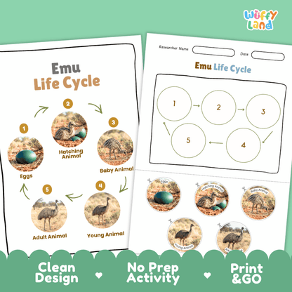 Emu Life Cycle Poster and Cut and Paste Worksheet Activity