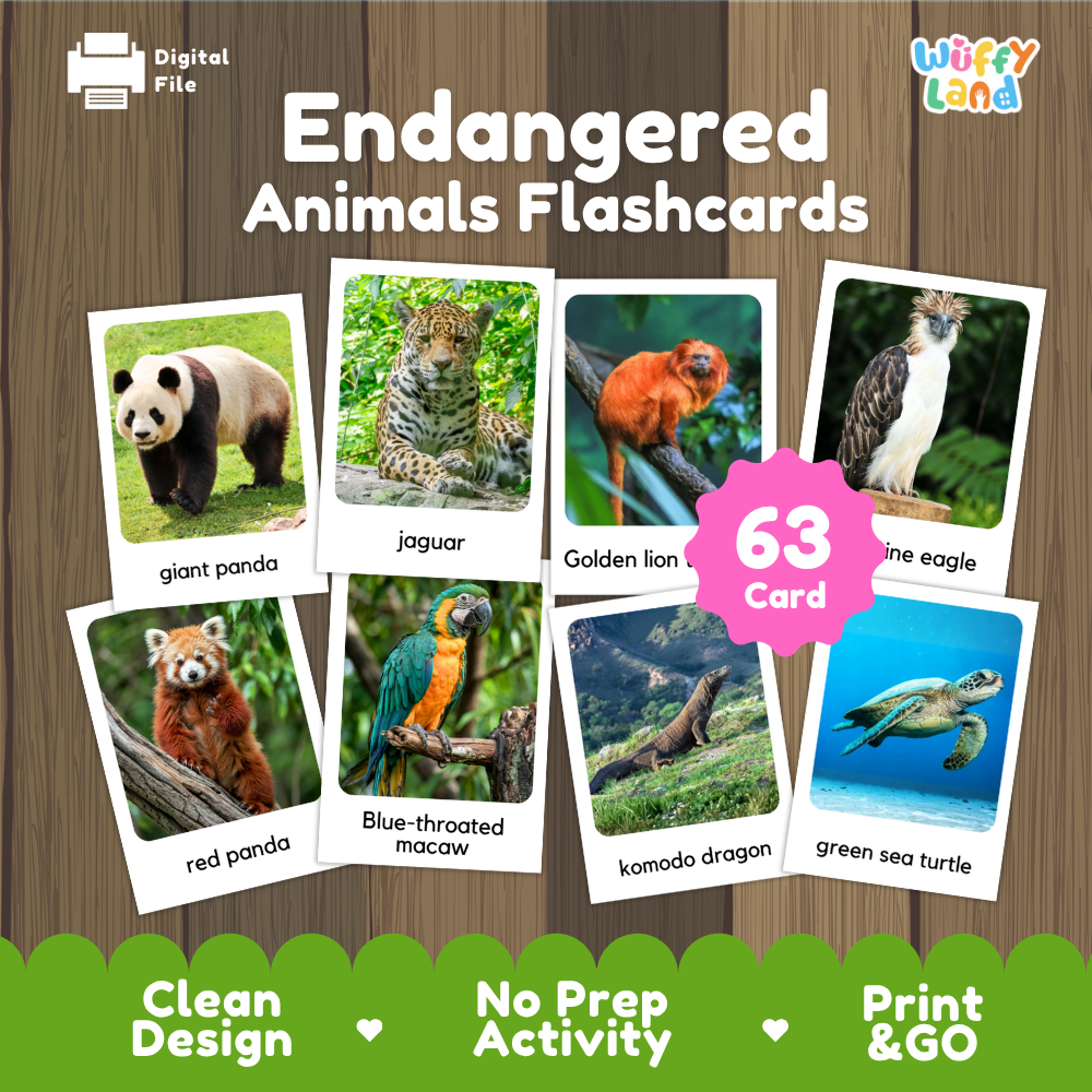 Endangered Animals Flashcards Printable Wildlife Conservation Cards for Early Elementary