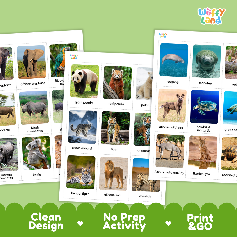 Endangered Animals Flashcards Printable Wildlife Conservation Cards for Early Elementary