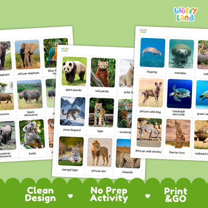 Endangered Animals Flashcards Printable Wildlife Conservation Cards for Early Elementary