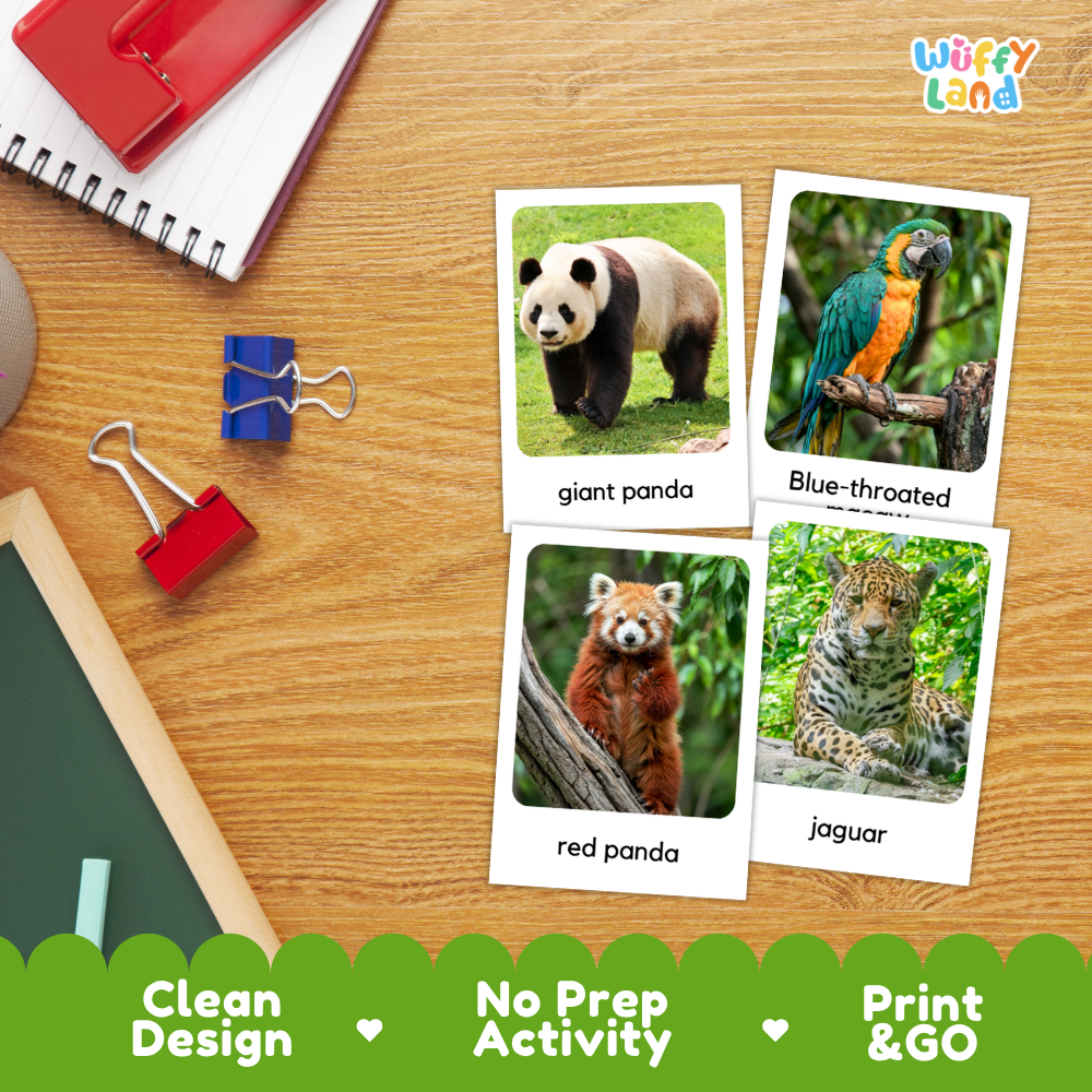 Endangered Animals Flashcards Printable Wildlife Conservation Cards for Early Elementary