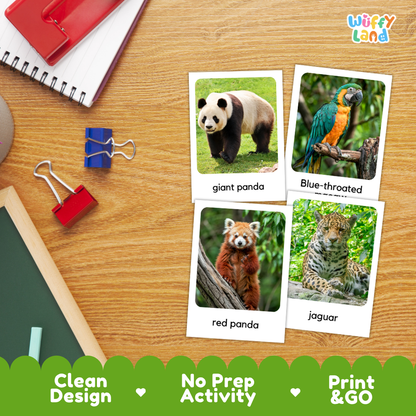 Endangered Animals Flashcards Printable Wildlife Conservation Cards for Early Elementary
