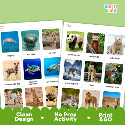 Endangered Animals Flashcards Printable Wildlife Conservation Cards for Early Elementary