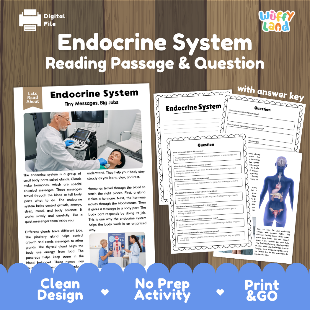 Endocrine system reading comprehension passage and questions printable activity pack with answer key for elementary students