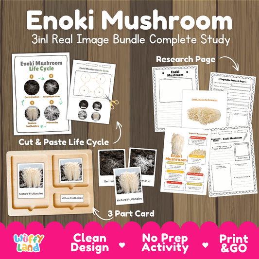 Enoki mushroom 3in1 real image bundle complete study printable featuring life cycle cut and paste worksheets, Montessori 3-part cards, and research pages