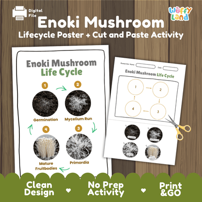 Enoki mushroom fungi life cycle educational printable pack cover showing visual reference poster and cut and paste sequencing worksheet with real photography