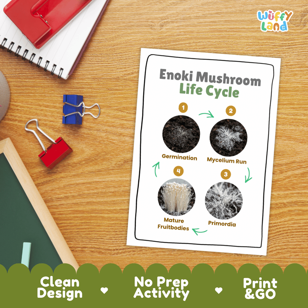 Hands-on cut and paste science worksheet for students to cut real photo tokens and sequence enoki mushroom growth stages onto numbered circles