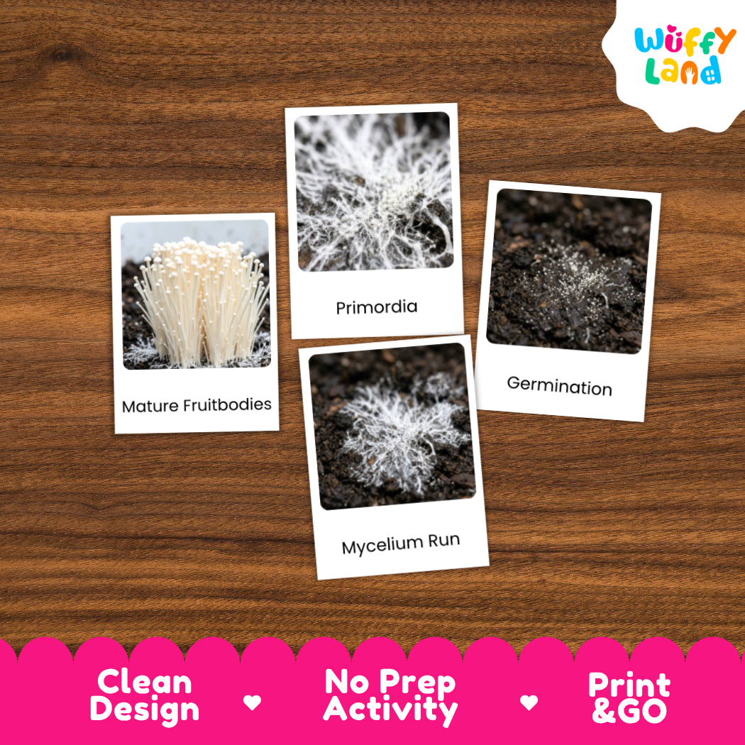 Three educational activity cards about mushrooms arranged on a brown wood-grain background, with a white cloud logo reading 'Wuffy Land' in the top right and a pink banner at the bottom with product feature text.