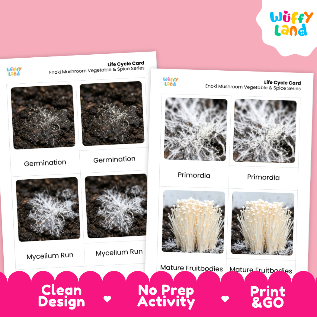 Two printed life cycle cards for Enoki Mushroom Vegetable & Spice Series shown on a pink background, with the Wüffy Land logo in the top right and promotional text along the bottom.