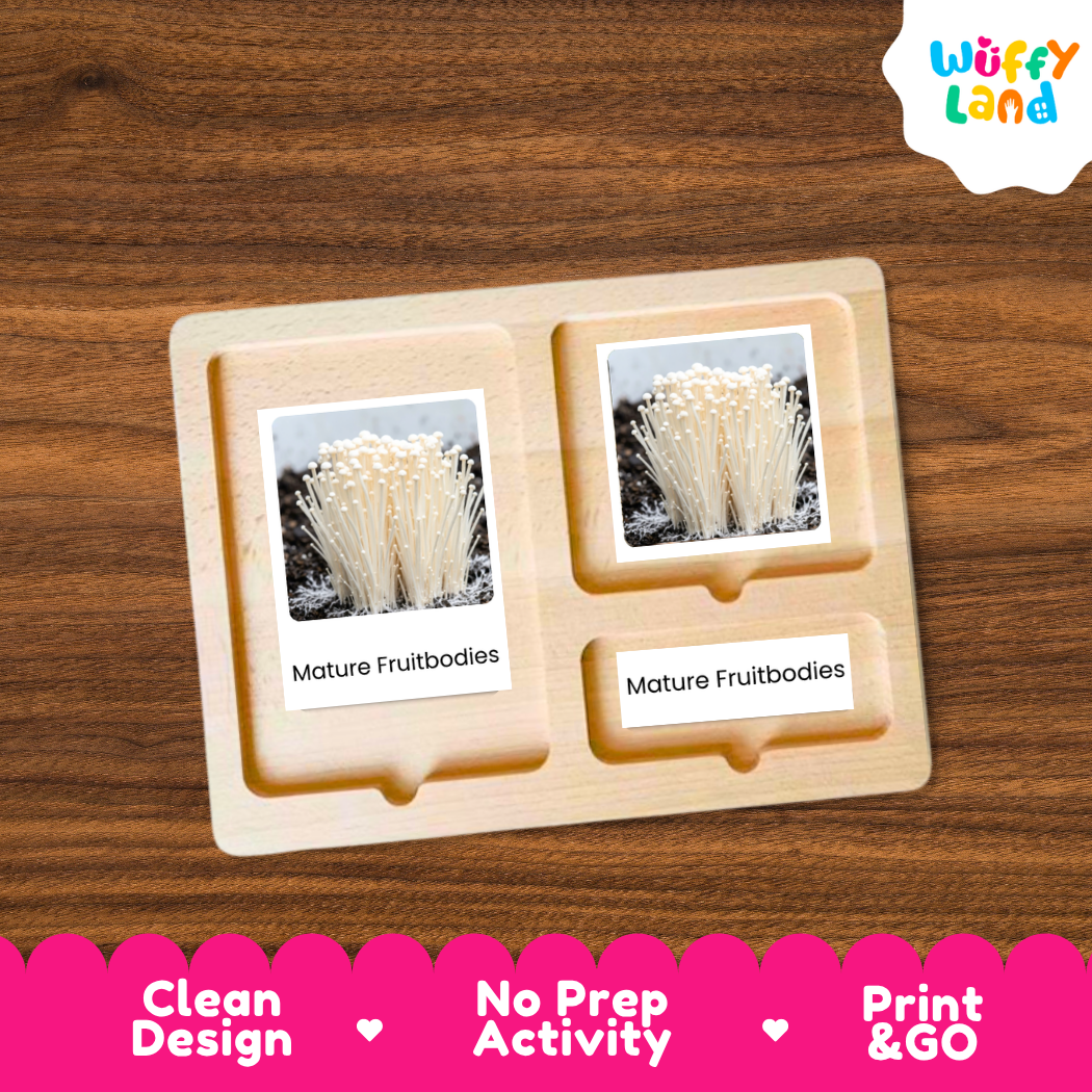 A wooden educational activity tray with three compartments, each holding a small photo card labeled 'Mature Fruitbodies,' displayed on a brown wood-grain surface. The 'Wuffy Land' logo appears in the top right, and a pink banner at the bottom reads 'Clean Design,' 'No Prep Activity,' and 'Print & GO.