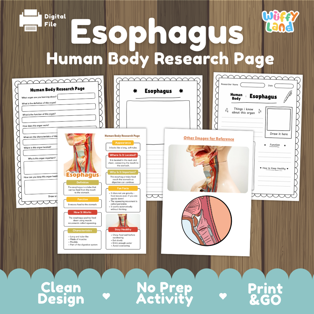 Esophagus human body research page cover showing printable research worksheets, information cards, and reference sheets