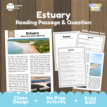 Estuary Reading Passage and Comprehension Questions with Answer Key Worksheets