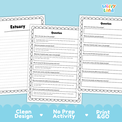 Estuary Reading Passage and Comprehension Questions with Answer Key Worksheets