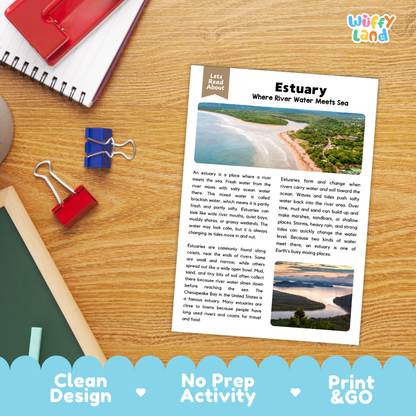 An educational activity sheet titled 'Estuary: Where River Water Meets Sea' by Willy's Land, displayed on a wooden desk with a red notebook, blue binder clips, and a blue pen. The sheet features a beach and ocean photo and text explaining estuaries.