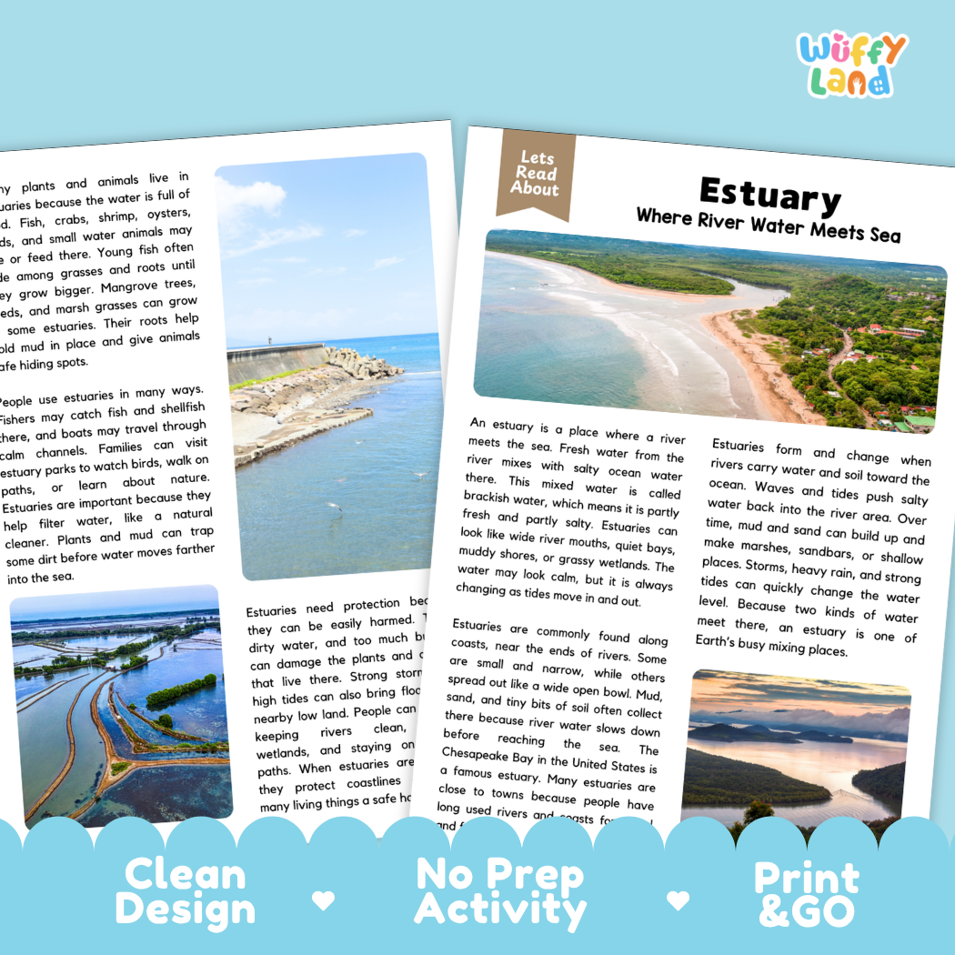 Estuary Reading Passage and Comprehension Questions with Answer Key Worksheets