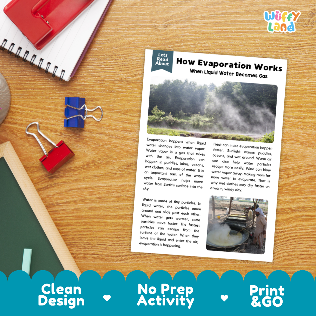 Printable student worksheet with short-answer reading comprehension questions covering evaporation and the water cycle