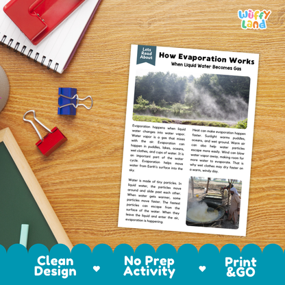 Printable student worksheet with short-answer reading comprehension questions covering evaporation and the water cycle