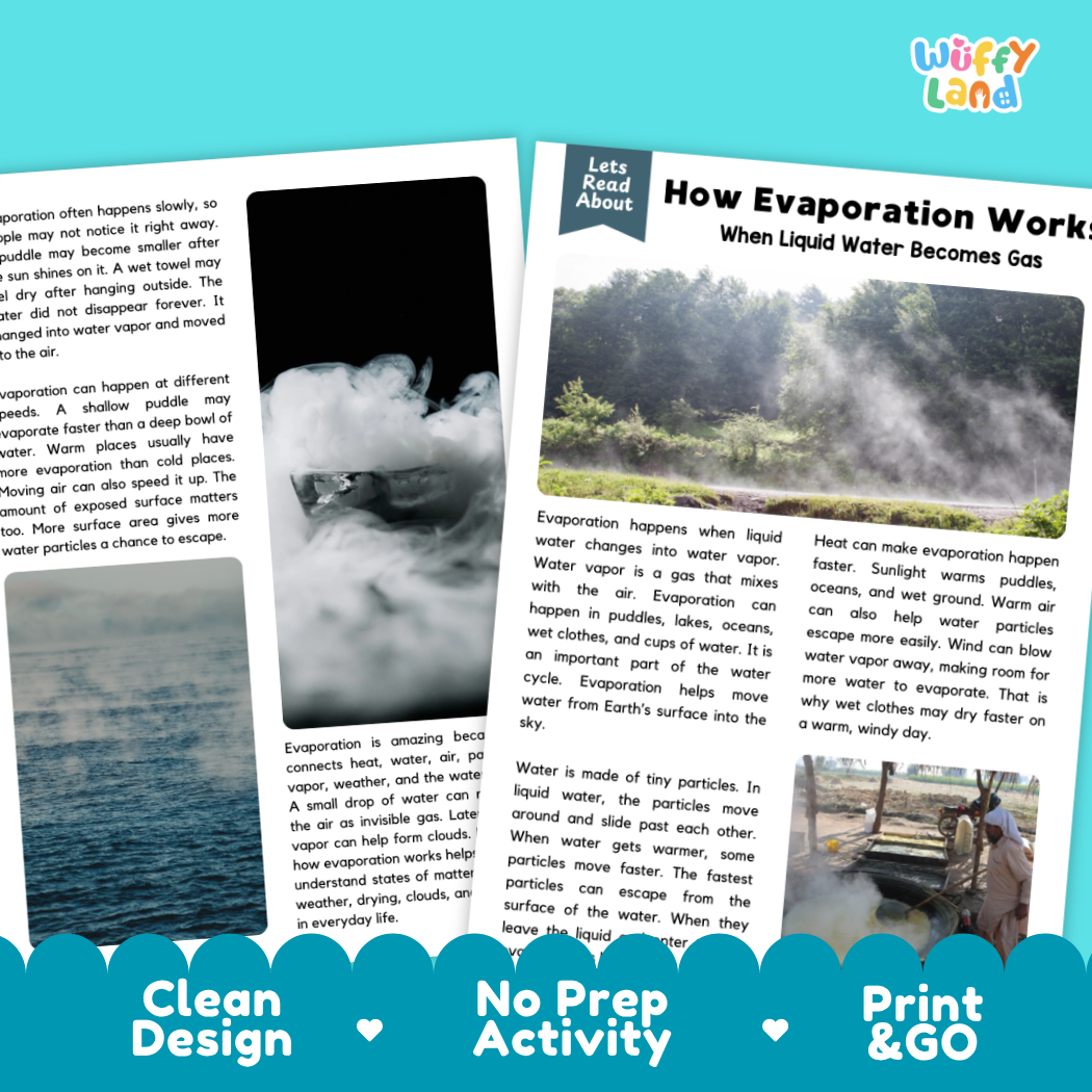 Complete teacher answer key worksheet providing detailed model responses for evaporation comprehension questions