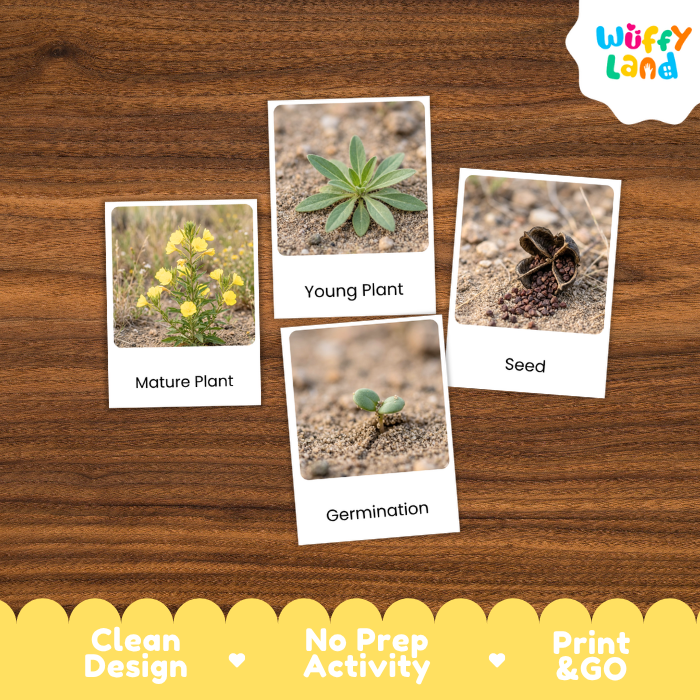 Four labeled photo cards showing plant-related stages and parts—Mature Plant, Young Plant, Seed, and Germination—placed on a brown wood background. A white cloud logo reading Wuffi Land appears in the top right, and a yellow banner at the bottom says Clean Design, No Prep Activity, and Print & Go.
