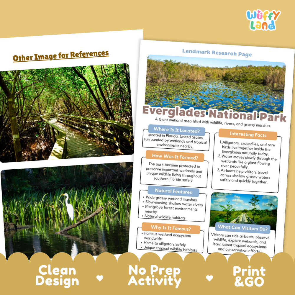 Educational poster and activity card set about Everglades National Park, featuring a scenic park photo, text panels, and a white bird illustration, with a 'Wiffly' brand logo in the top right.