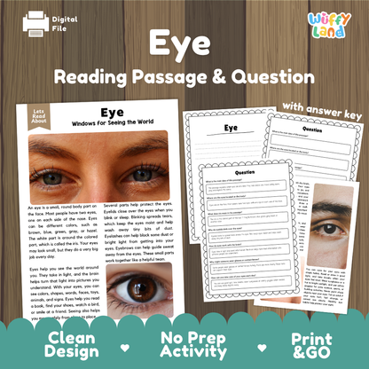 Eye reading comprehension passage and questions printable activity pack with answer key for elementary students