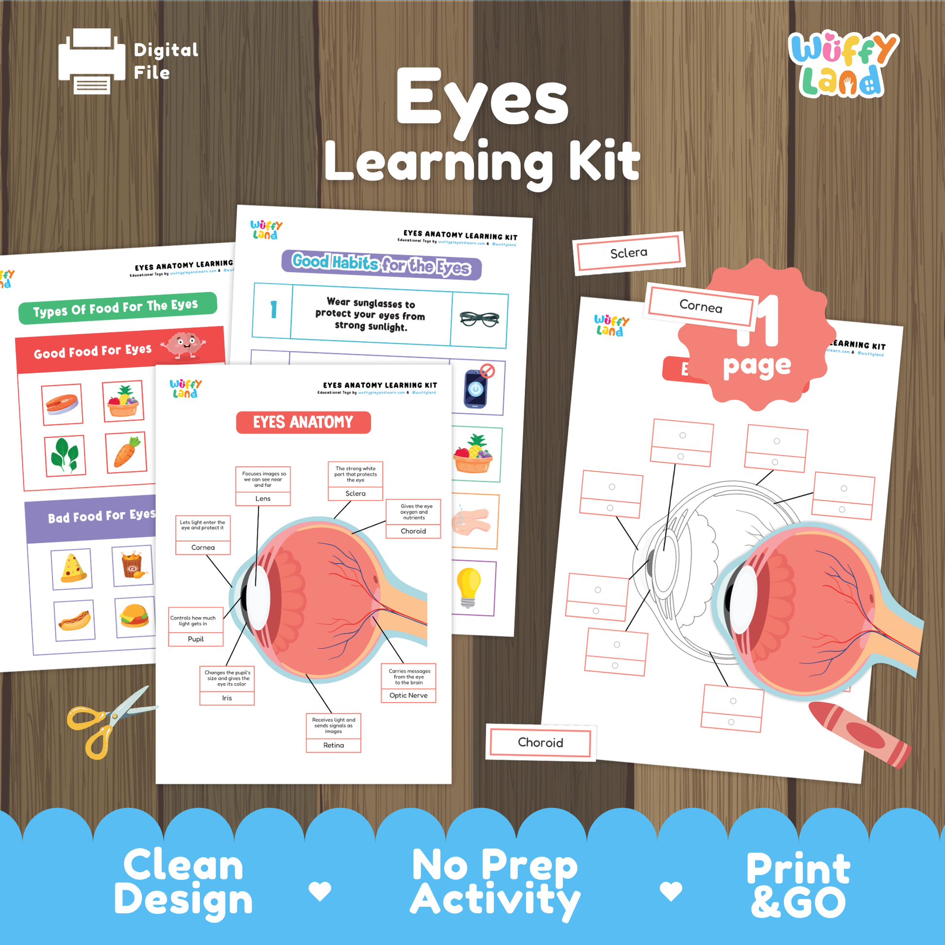 Printable eyes learning kit for kids featuring eye anatomy diagrams, labeling worksheets, good and bad food for eye health activities, healthy eye habits pages, and cut-and-paste exercises, designed for elementary science and health lessons.