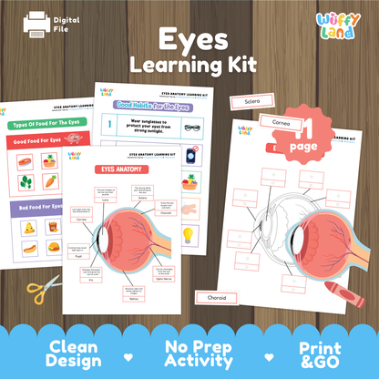 Printable eyes learning kit for kids featuring eye anatomy diagrams, labeling worksheets, good and bad food for eye health activities, healthy eye habits pages, and cut-and-paste exercises, designed for elementary science and health lessons.