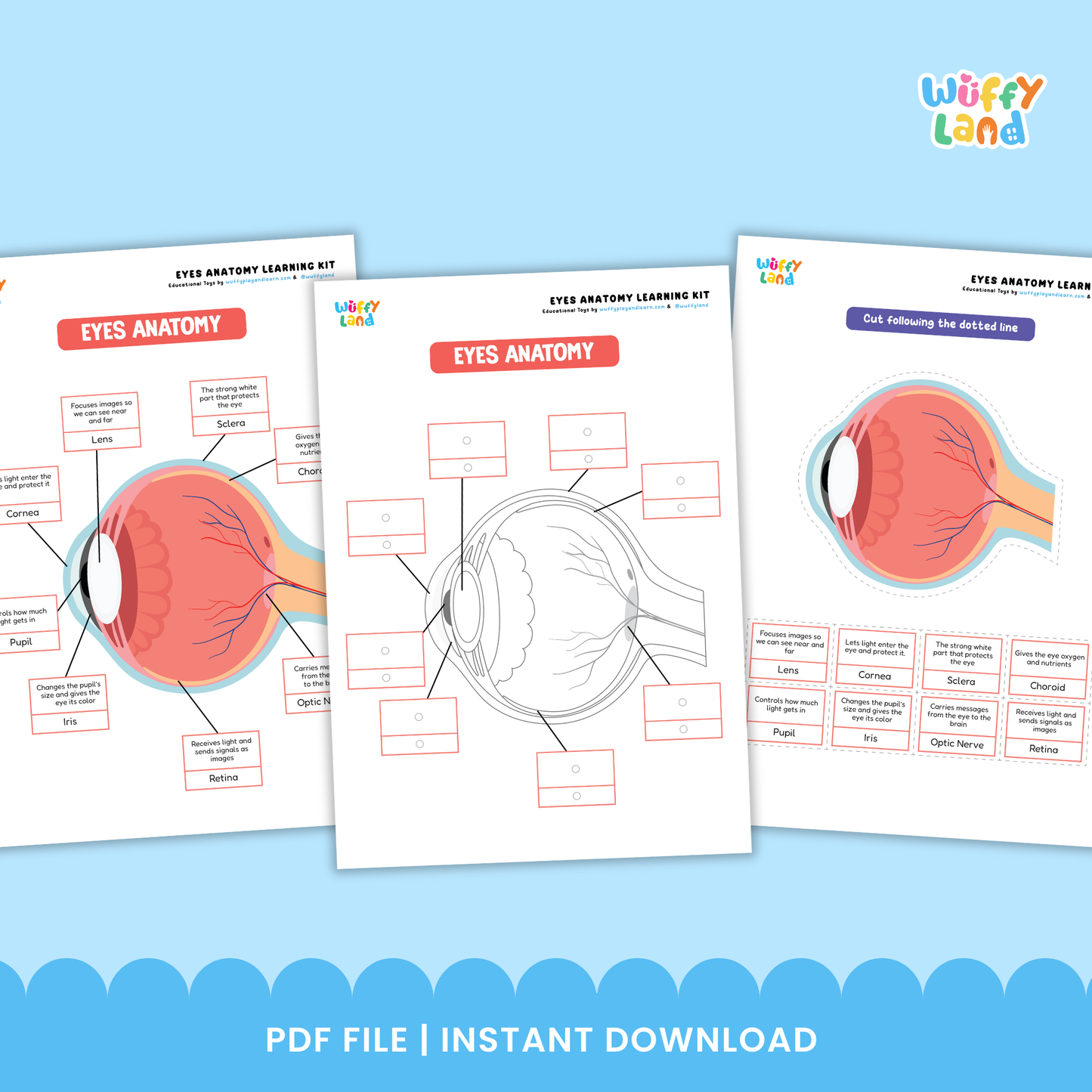 Printable eyes learning kit for kids featuring eye anatomy diagrams, labeling worksheets, good and bad food for eye health activities, healthy eye habits pages, and cut-and-paste exercises, designed for elementary science and health lessons.
