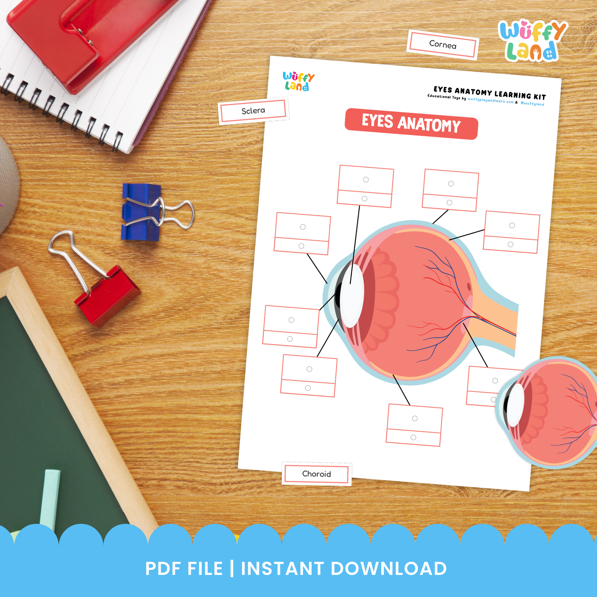 Printable eyes learning kit for kids featuring eye anatomy diagrams, labeling worksheets, good and bad food for eye health activities, healthy eye habits pages, and cut-and-paste exercises, designed for elementary science and health lessons.