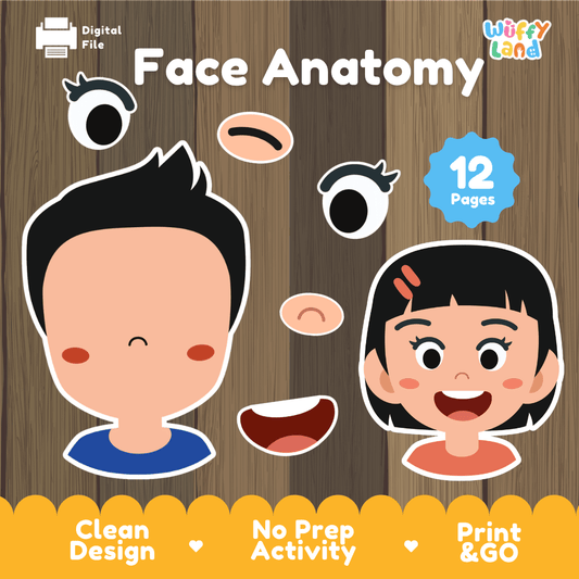 Face Anatomy