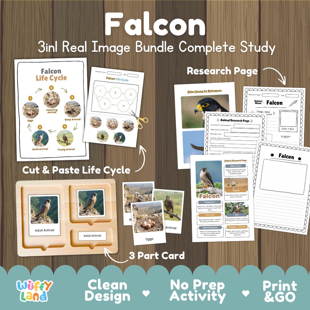 Falcon 3-in-1 real image bundle complete study cover showing cut and paste life cycle, 3 part cards, and research pages