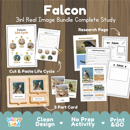 Falcon 3-in-1 real image bundle complete study cover showing cut and paste life cycle, 3 part cards, and research pages