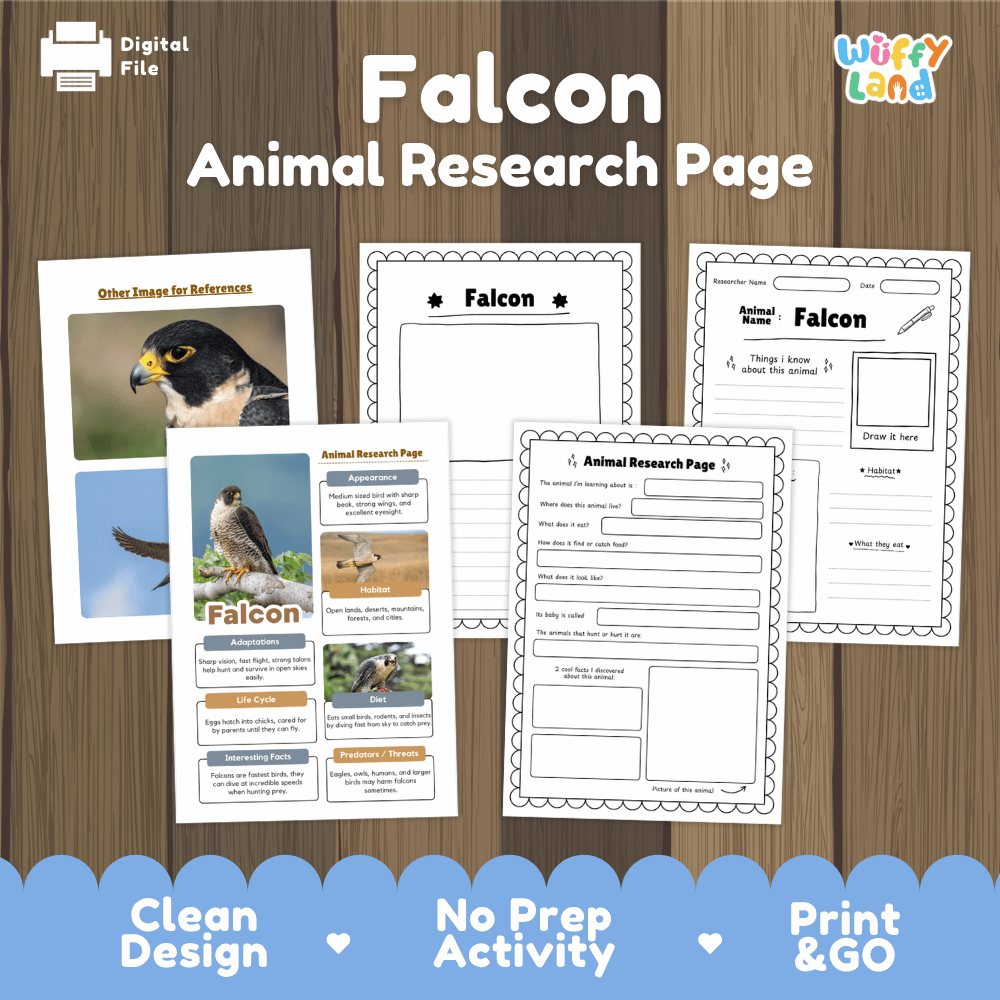 Falcon Animal Research Page Worksheets and Fact Sheet Activity