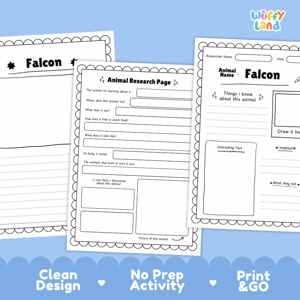 Falcon Animal Research Page Worksheets and Fact Sheet Activity