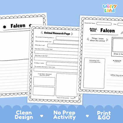 Falcon Animal Research Page Worksheets and Fact Sheet Activity