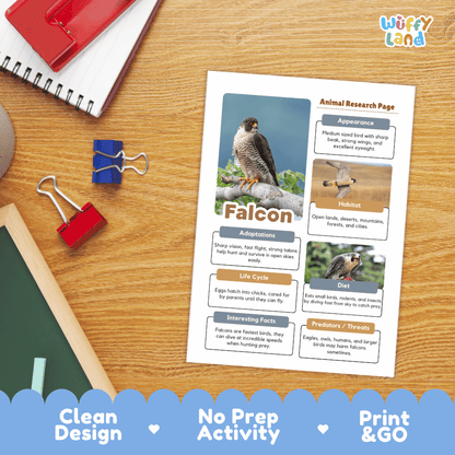 Falcon Animal Research Page Worksheets and Fact Sheet Activity