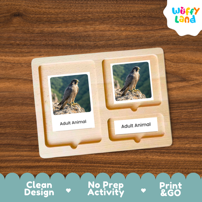 A wooden Montessori-style activity board labeled 'Adult Animal' with two photo slots showing a bird of prey, placed on a brown wood surface. The 'Wuffy Land' logo appears in the top right, and a teal banner at the bottom highlights 'Clean Design', 'No Prep Activity', and 'Print & GO'.
