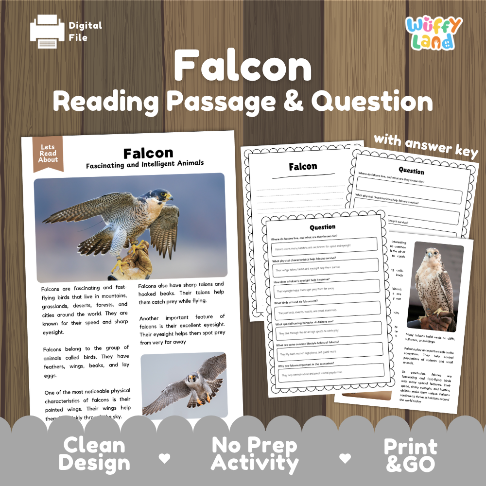 Falcon Reading Passage and Comprehension Questions with Answer Key