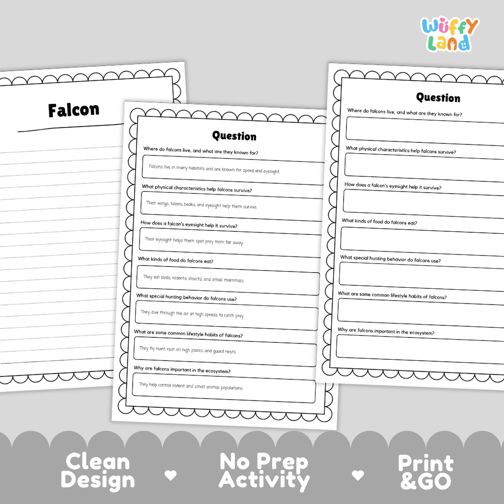 Falcon Reading Passage and Comprehension Questions with Answer Key