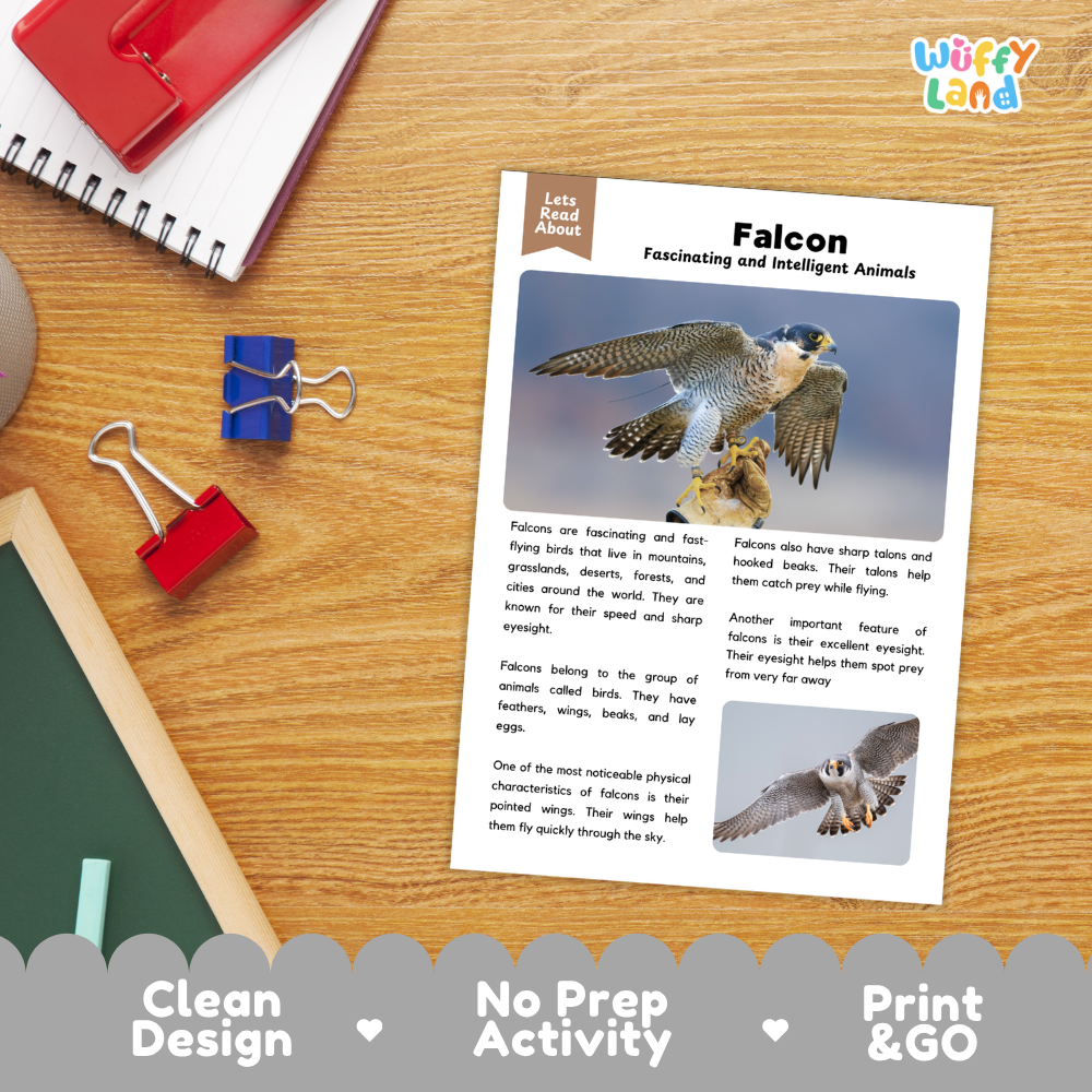 Falcon Reading Passage and Comprehension Questions with Answer Key