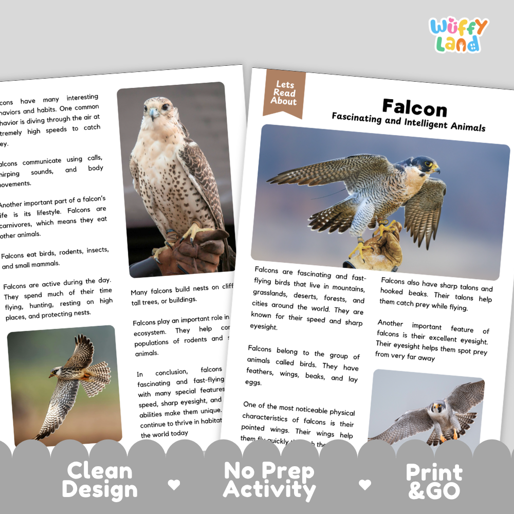 Falcon Reading Passage and Comprehension Questions with Answer Key