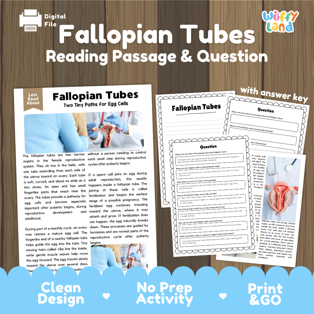 Fallopian tubes reading comprehension passage and questions printable activity pack with answer key for elementary students