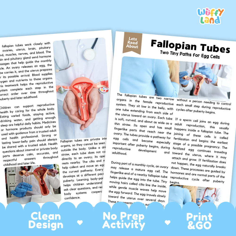 Teacher answer key page showing complete question solutions for Fallopian Tubes human body reading comprehension practice
