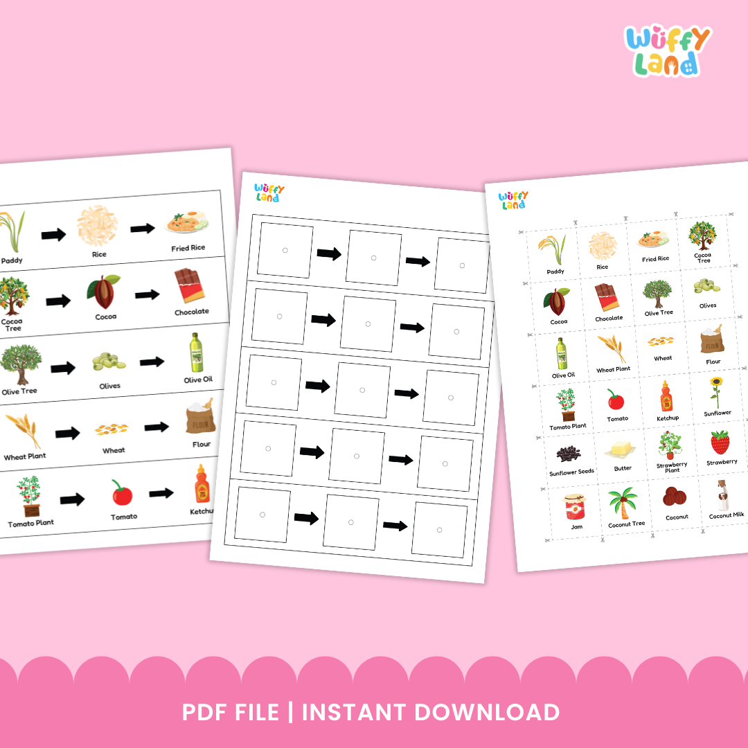 A set of plant-to-product sequencing cards showing how different foods are made. Each strip displays a plant followed by arrows pointing to its product: coconut tree to coconut to coconut milk; corn plant to corn to popcorn; strawberry plant to strawberry to jam; tomato plant to tomato to ketchup; cocoa tree to cocoa to chocolate. Small matching picture cards of wheat, jam, strawberry plant, strawberry, and paddy are also included