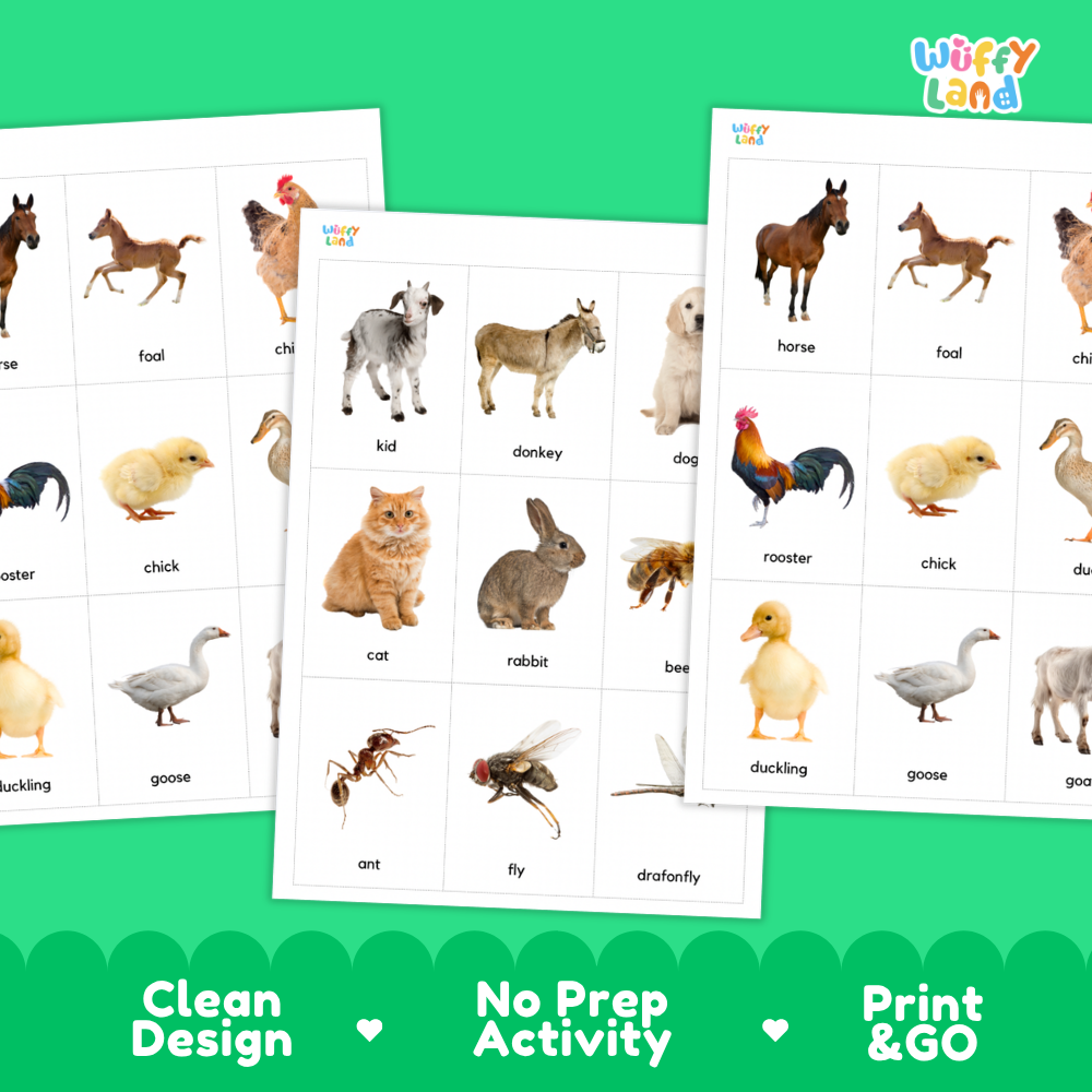 Farm Animals Flashcards