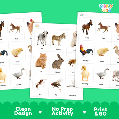 Farm Animals Flashcards