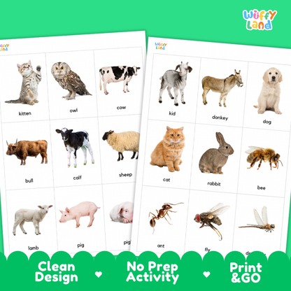 Farm Animals Flashcards